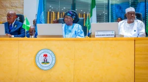 Africa Unites Against Terrorism: Leaders Demand More Cooperation at Abuja Summit