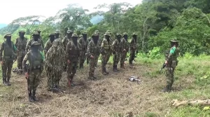 Colombia's Battle Against Narco-Terrorism Operation Themis Unveiled