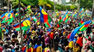 Tactics Institute Calls for Immediate Cessation of Violent Repression in New Caledonia