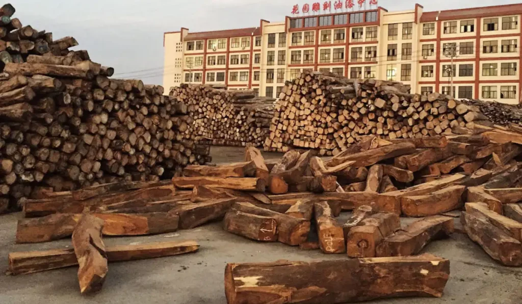 Illegal Rosewood Trade