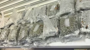 INTERPOL's Operation Neptune Reinforced Counter-Terrorism Efforts