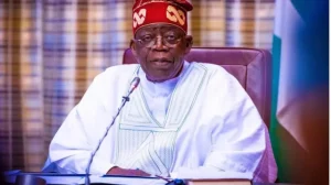 Nigeria Achieve Remarkable Progress in Countering Terrorism