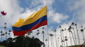 Colombia reinstates Coca fumigation amid U.S. pressure and domestic dilemma