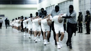 U.S. Military conducted counterterrorism operation with El Salvador