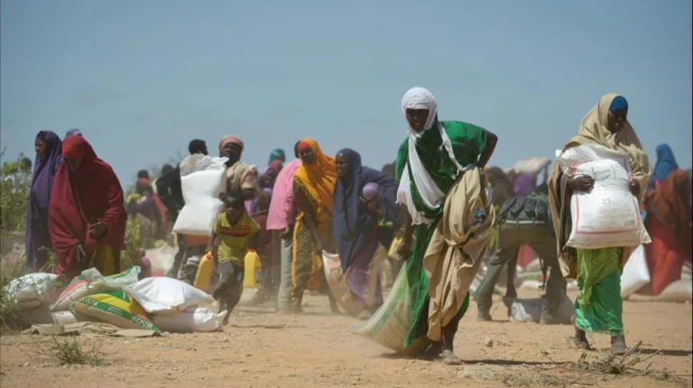 Tactics institute warns of the growing role of food in African insurgencies