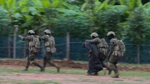 Resilience on the border: Ghana’s lessons for terrorism prevention in West Africa