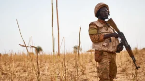 Counter-Terrorism Narratives vs. Ground Realities in Nigeria’s North-East