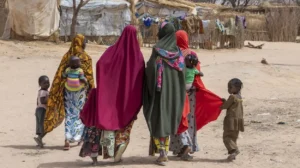 From Chaos to Control Terror Taxation in Africa's Ungoverned Spaces