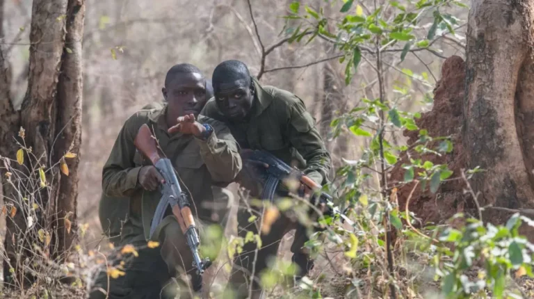 JNIM's Coastal creep: Countering Spillover in West African Borderlands