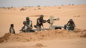 Sahel's 10,500 Annual Toll Reshapes West Africa Security