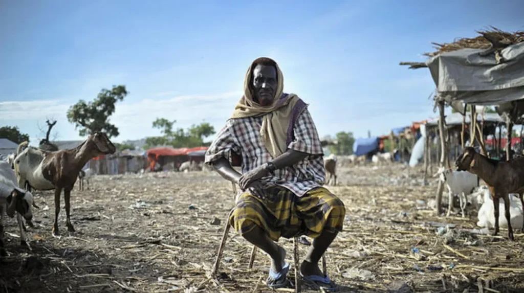 Why Weak States in Africa Breed Strong Terrorist Movements?